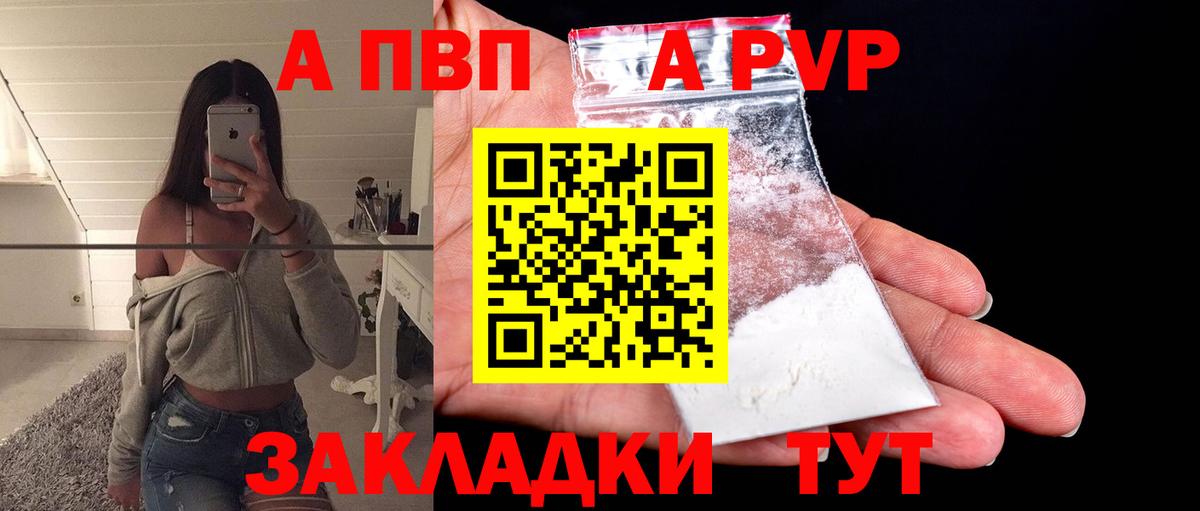 Alfa_PVP СК КРИС Малгобек